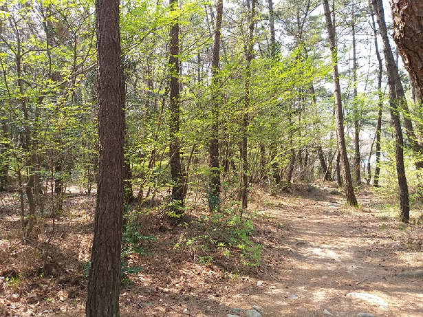 프로그램찾기 이미지