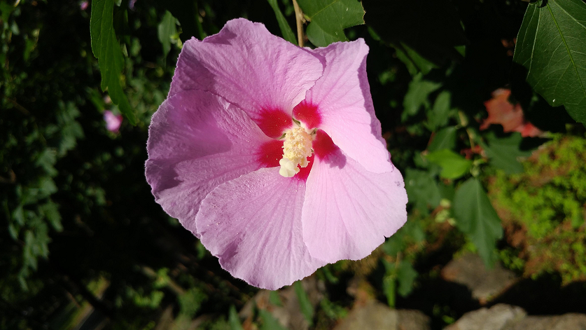 프로그램찾기 이미지