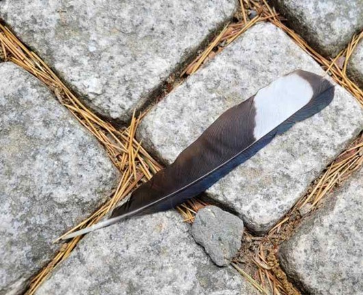 프로그램찾기 이미지