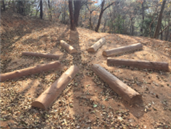 기관대표이미지