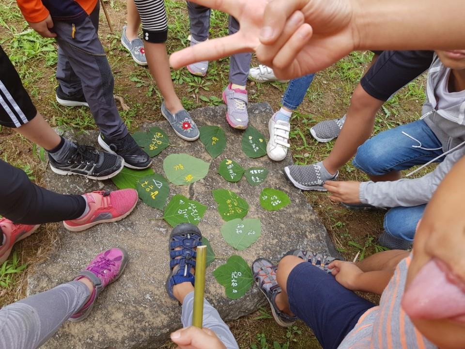 프로그램찾기 이미지