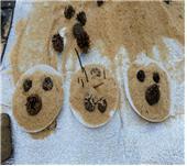 프로그램찾기 이미지