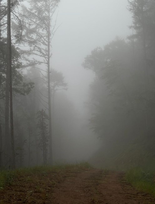 프로그램찾기 이미지