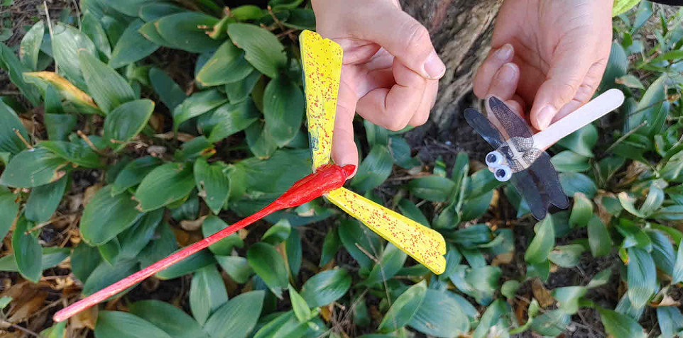 프로그램찾기 이미지