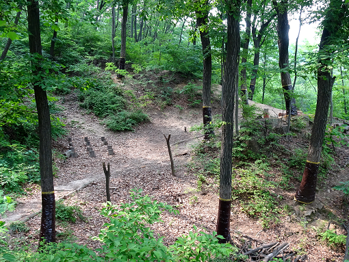 프로그램찾기 이미지