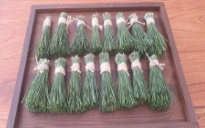 프로그램찾기 이미지