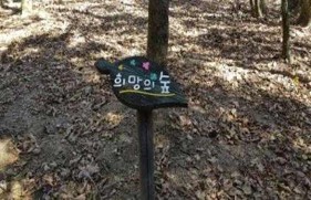 프로그램찾기 이미지