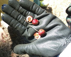 프로그램찾기 이미지