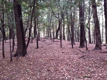 프로그램찾기 이미지