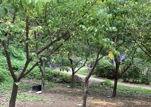 프로그램찾기 이미지