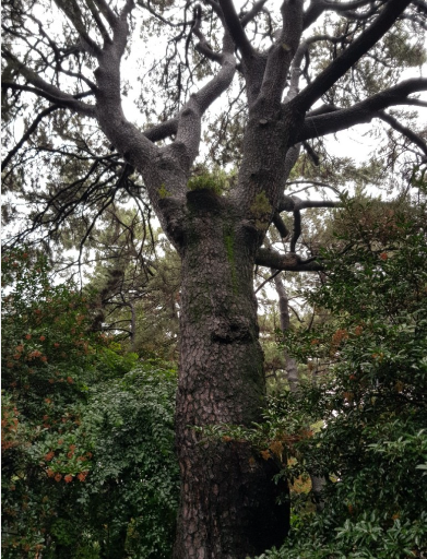 프로그램찾기 이미지