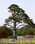 프로그램찾기 이미지