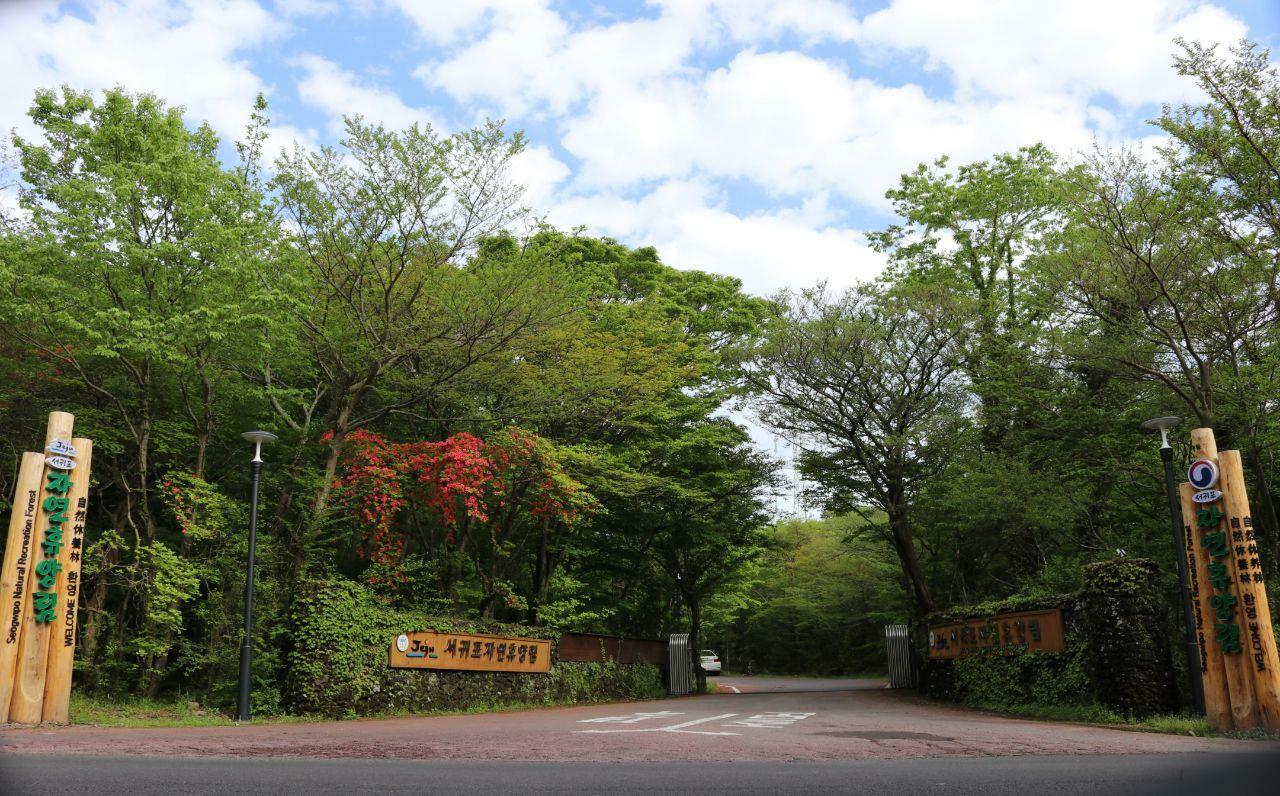 기관대표이미지