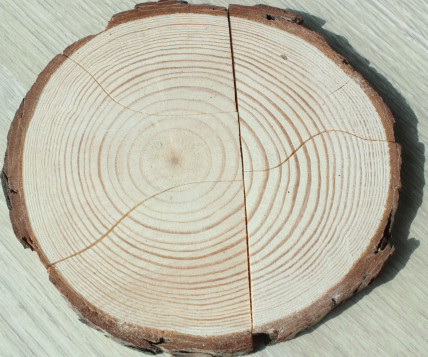 프로그램찾기 이미지