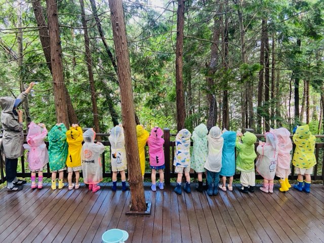 기관대표이미지