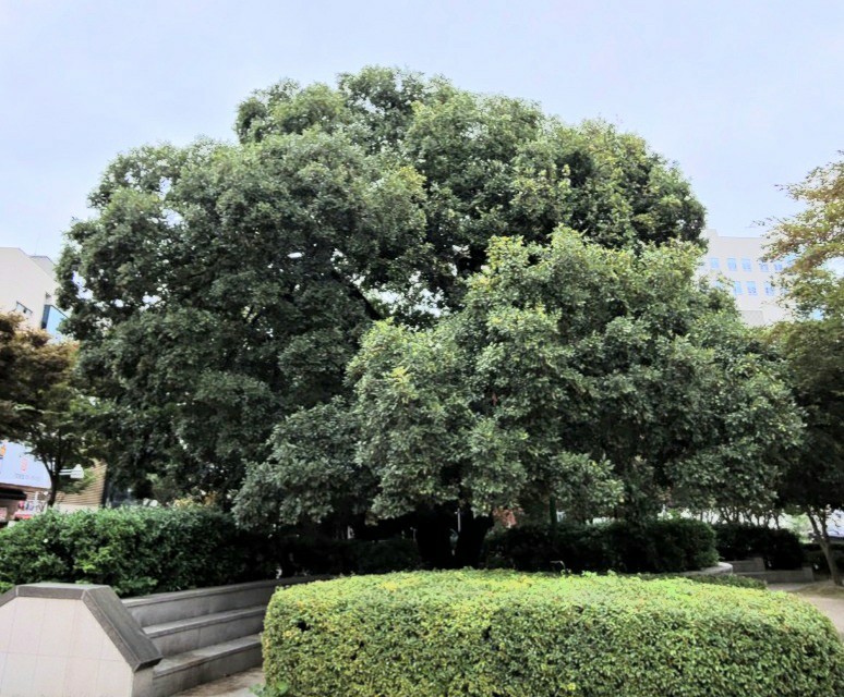 프로그램찾기 이미지