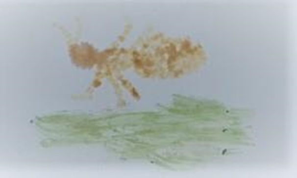 프로그램찾기 이미지