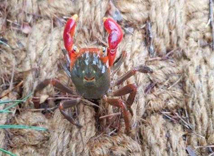 프로그램찾기 이미지