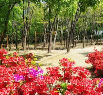 프로그램찾기 이미지