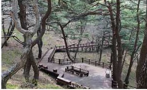 프로그램찾기 이미지