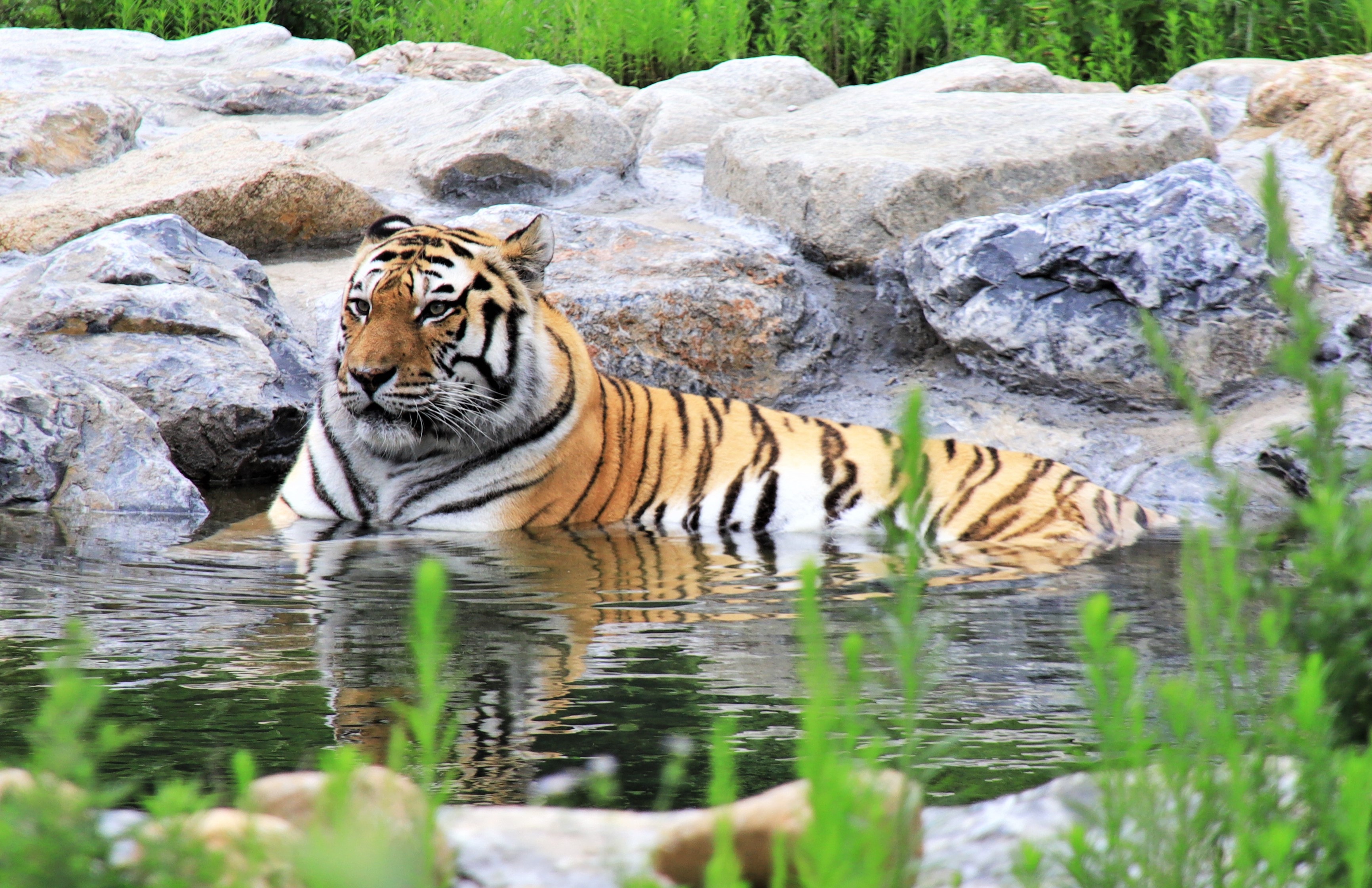 프로그램찾기 이미지