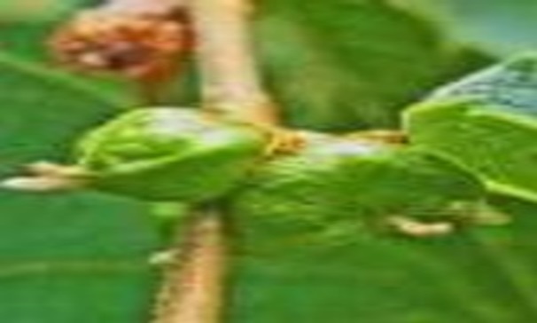 프로그램찾기 이미지