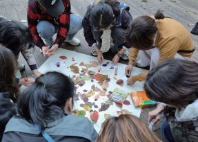 프로그램찾기 이미지