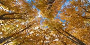 프로그램찾기 이미지