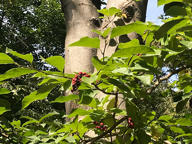 프로그램찾기 이미지