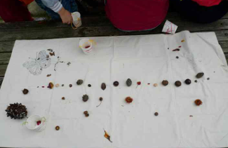 프로그램찾기 이미지