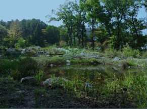 프로그램찾기 이미지