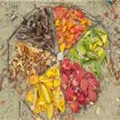 프로그램찾기 이미지