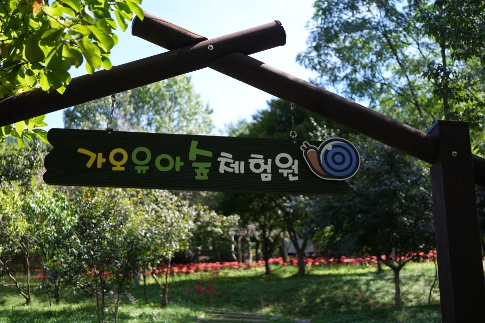 기관대표이미지