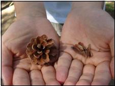 프로그램찾기 이미지