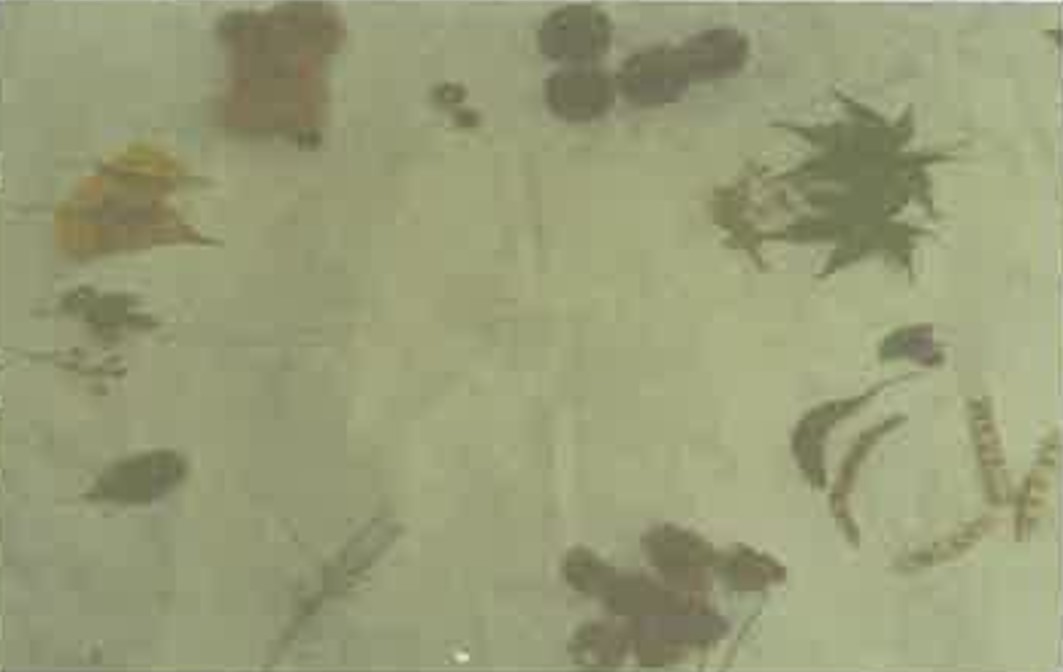 프로그램찾기 이미지