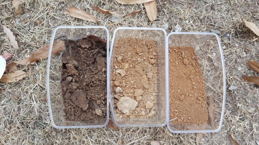 프로그램찾기 이미지