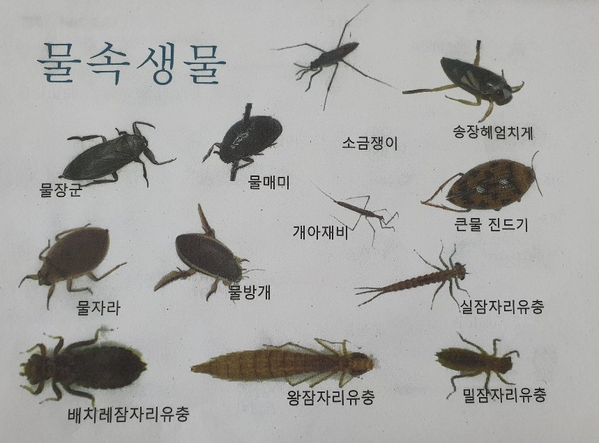 프로그램찾기 이미지