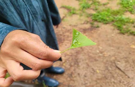 프로그램찾기 이미지
