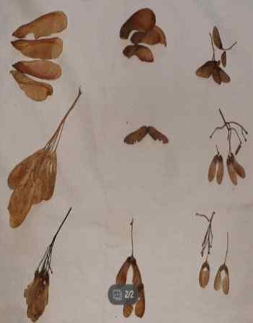 프로그램찾기 이미지