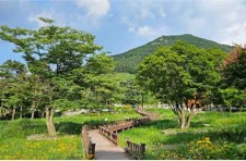 프로그램찾기 이미지