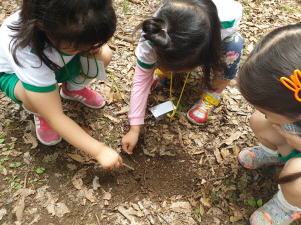 프로그램찾기 이미지