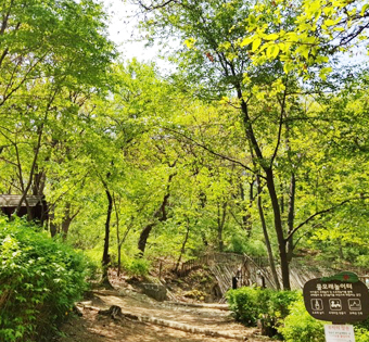 기관대표이미지