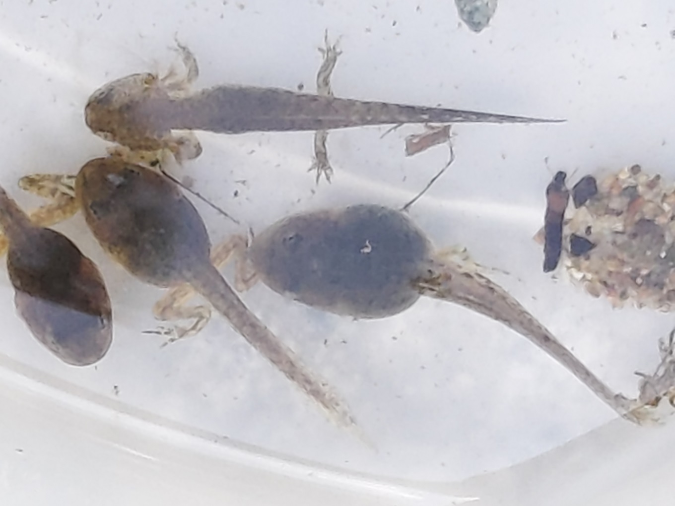 프로그램찾기 이미지