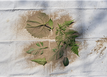 프로그램찾기 이미지