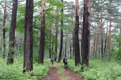 프로그램찾기 이미지