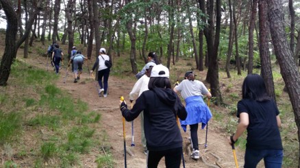 프로그램찾기 이미지