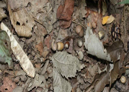 프로그램찾기 이미지