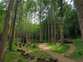 프로그램찾기 이미지