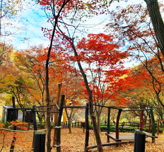 기관대표이미지