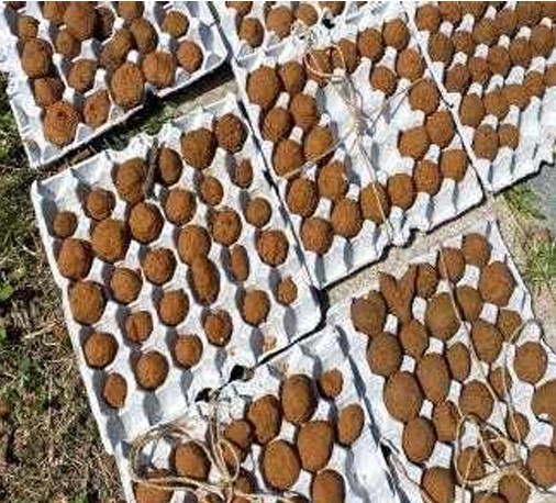 프로그램찾기 이미지